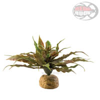 Exo-Terra Star Cactus - Pianta finta in plastica